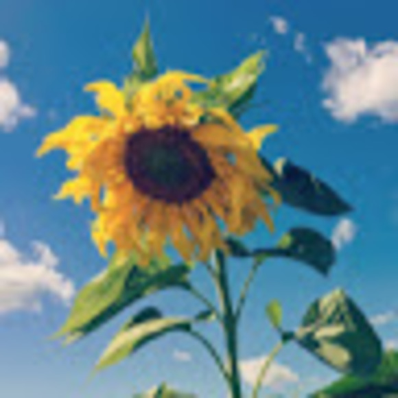 samantha_kask